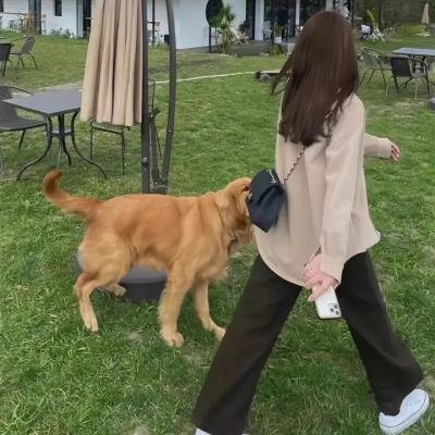 大案侦破警示录